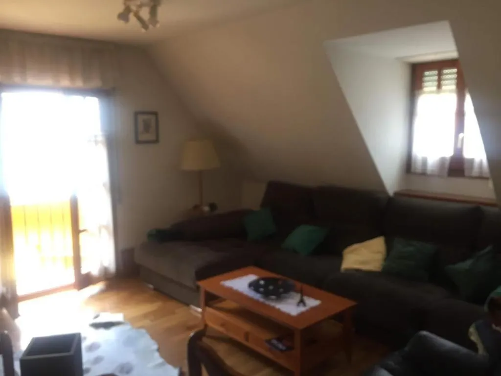 Apartmán Precioso Duplex En El Centro De Viella Španělsko